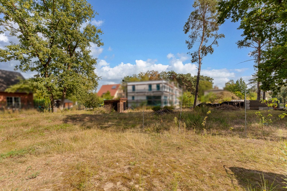 Grasbewachsenes Grundstück mit Bäumen, ein kleiner Schuppen, Wohnhäuser im Hintergrund.