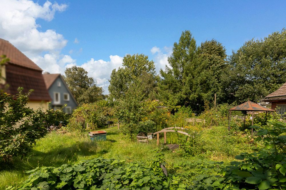 Grüner Garten mit Bäumen, Sträuchern, einer kleinen Brücke und einem Pavillon neben Wohnhäusern.