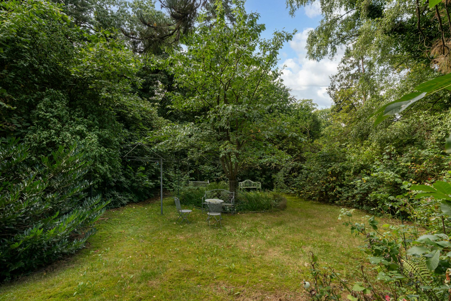 Grüner Garten mit Rasenfläche, Gartenmöbeln und vielen Bäumen und Sträuchern.