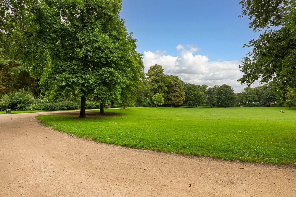 Grüner Park mit Bäumen, Rasenfläche und sandigem Gehweg bei blauem Himmel.