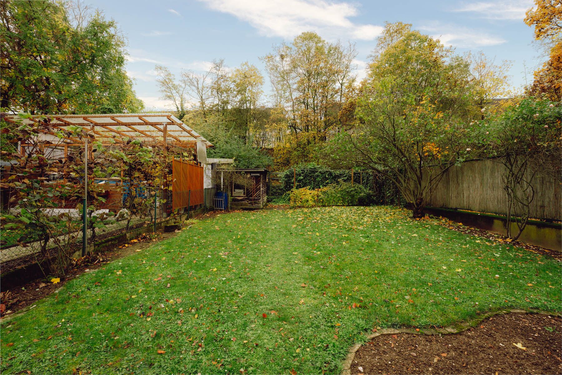Grüner Garten mit Rasenfläche, Bäumen und einem kleinen Schuppen im Hintergrund.