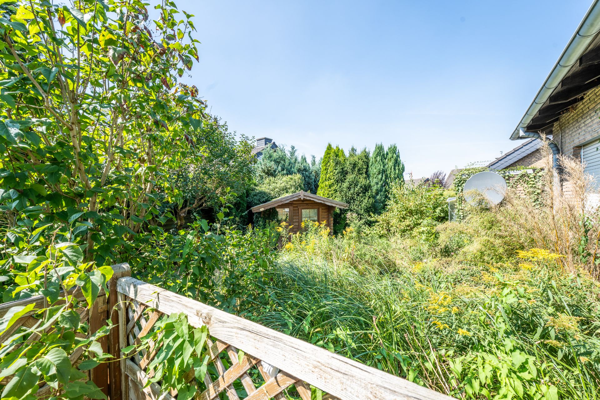 Bewachsener Garten mit Holzzaun, vielen Pflanzen und einem kleinen Gartenhaus im Hintergrund.