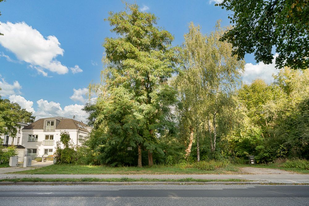 Grünes Grundstück mit Bäumen neben einem Wohnhaus, Blick von der Straße bei Tageslicht.