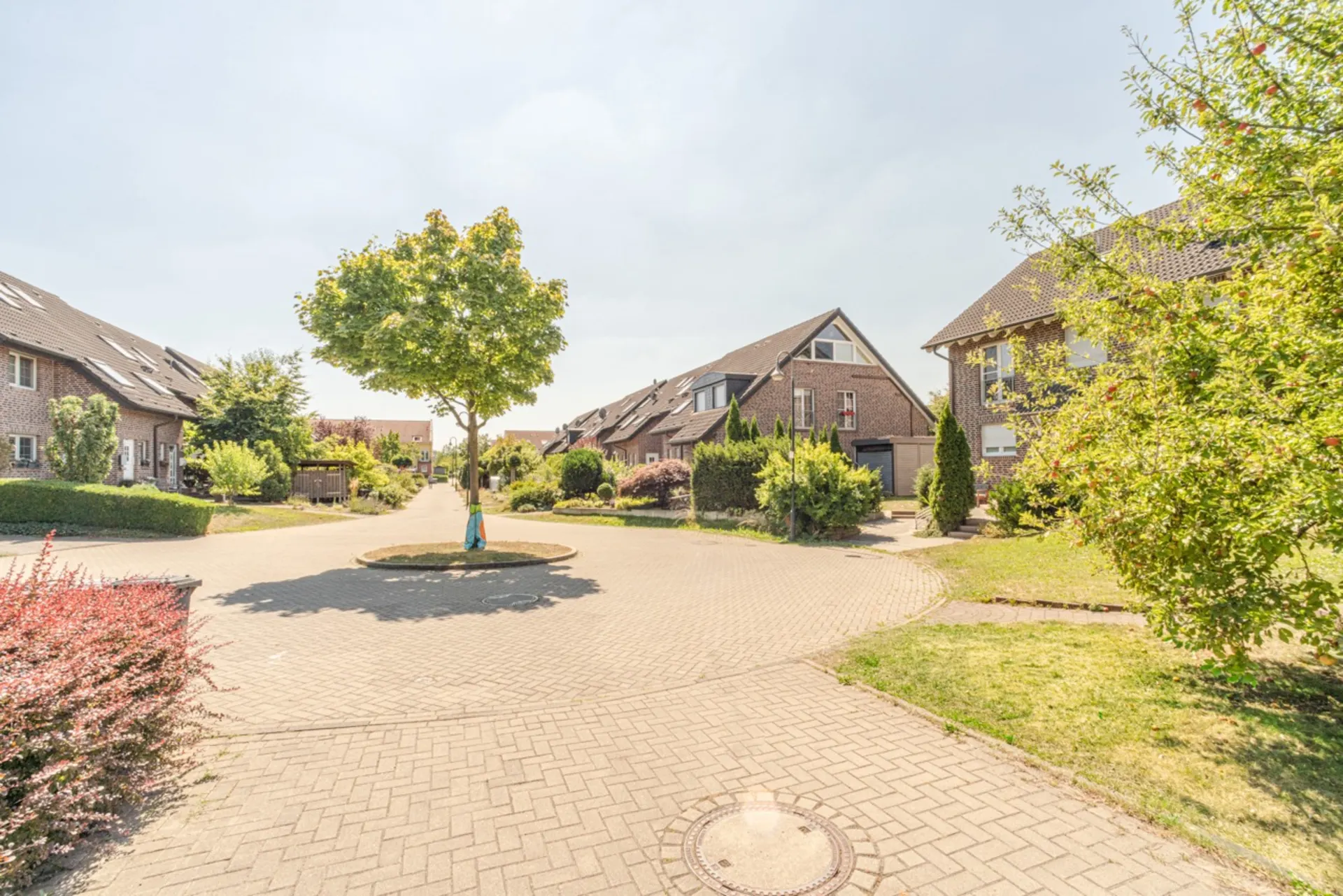 Wohnsiedlung mit Ziegelhäusern, viel Grün und einem Baum in der Straßenmitte.