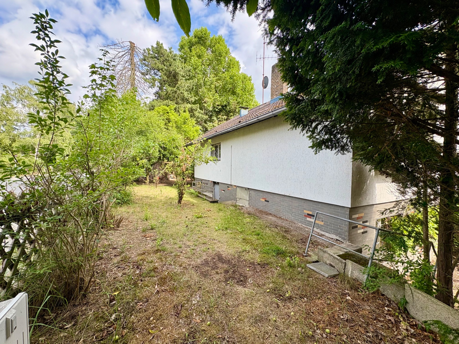 Seitlicher Gartenbereich mit Bäumen und Blick auf ein weißes Wohnhaus.