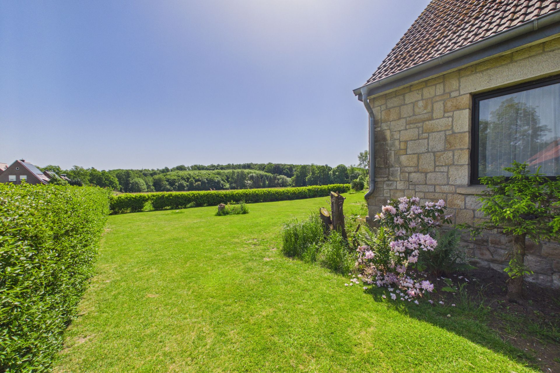 Garten mit Rasenfläche, blühenden Büschen und Teil eines Steinhauses bei sonnigem Wetter.