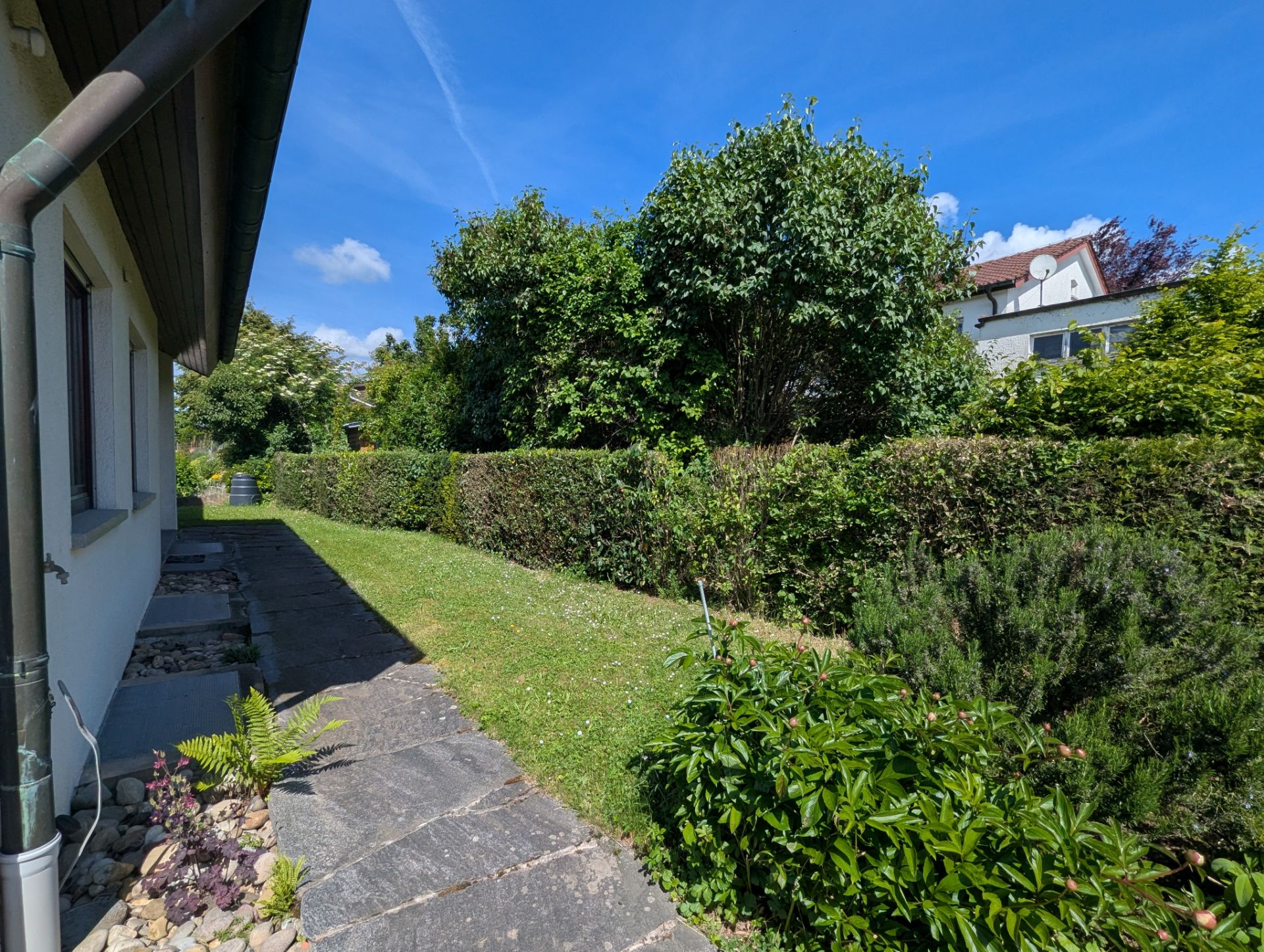 Gartenweg neben einem Wohnhaus mit Hecken, Grasfläche, Büschen und Bäumen bei sonnigem Wetter.