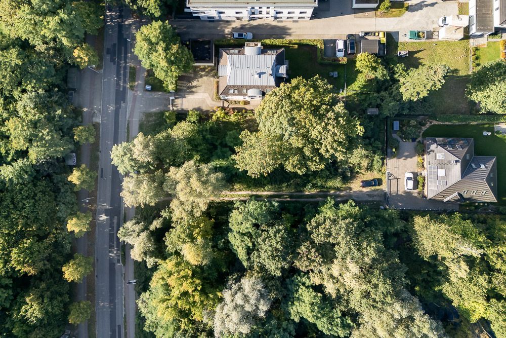 Luftaufnahme von Wohnhäusern und einer von Bäumen gesäumten Straße.