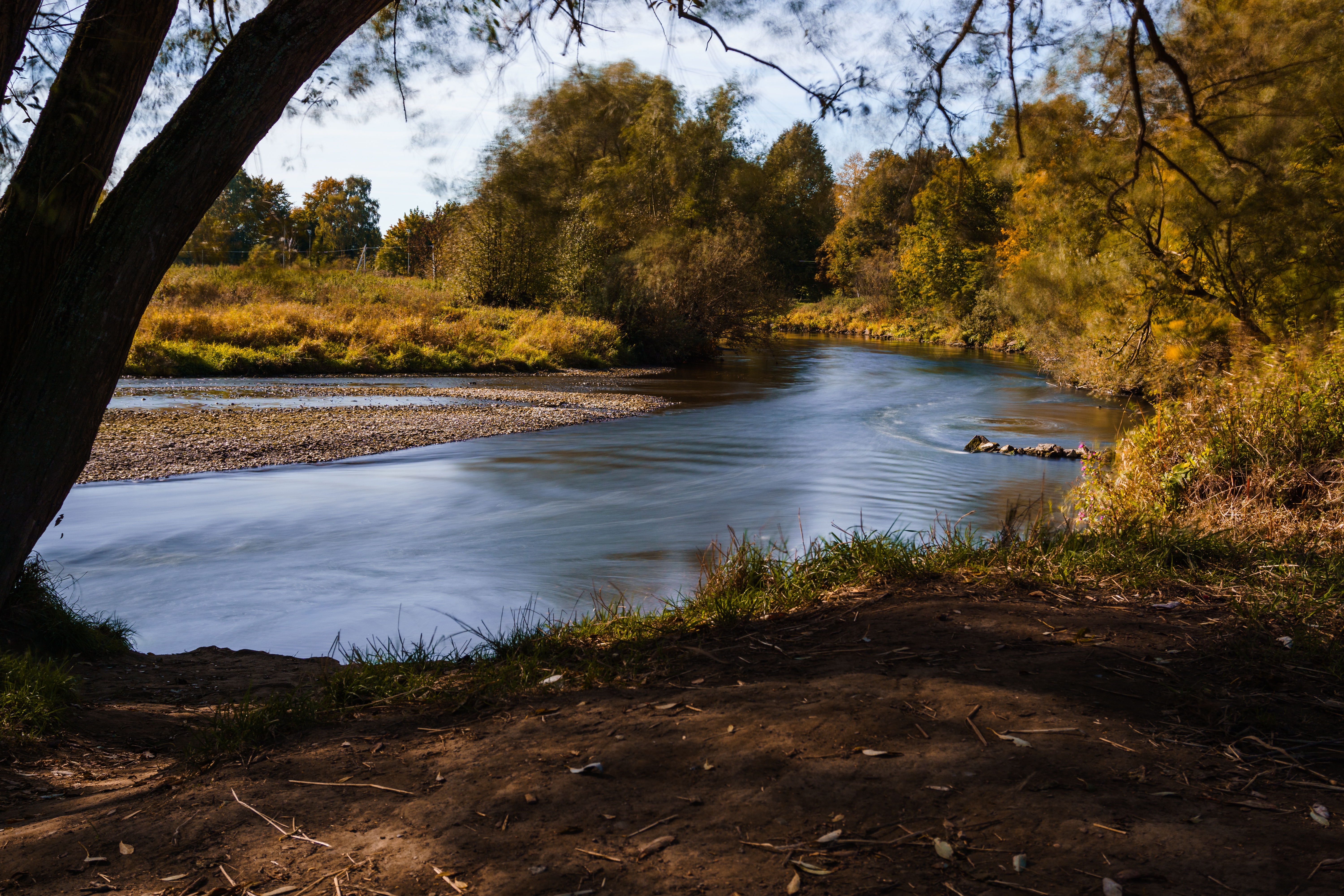 Klares Foto eines ruhigen Flusses mit Bäumen und Wiese im Hintergrund.