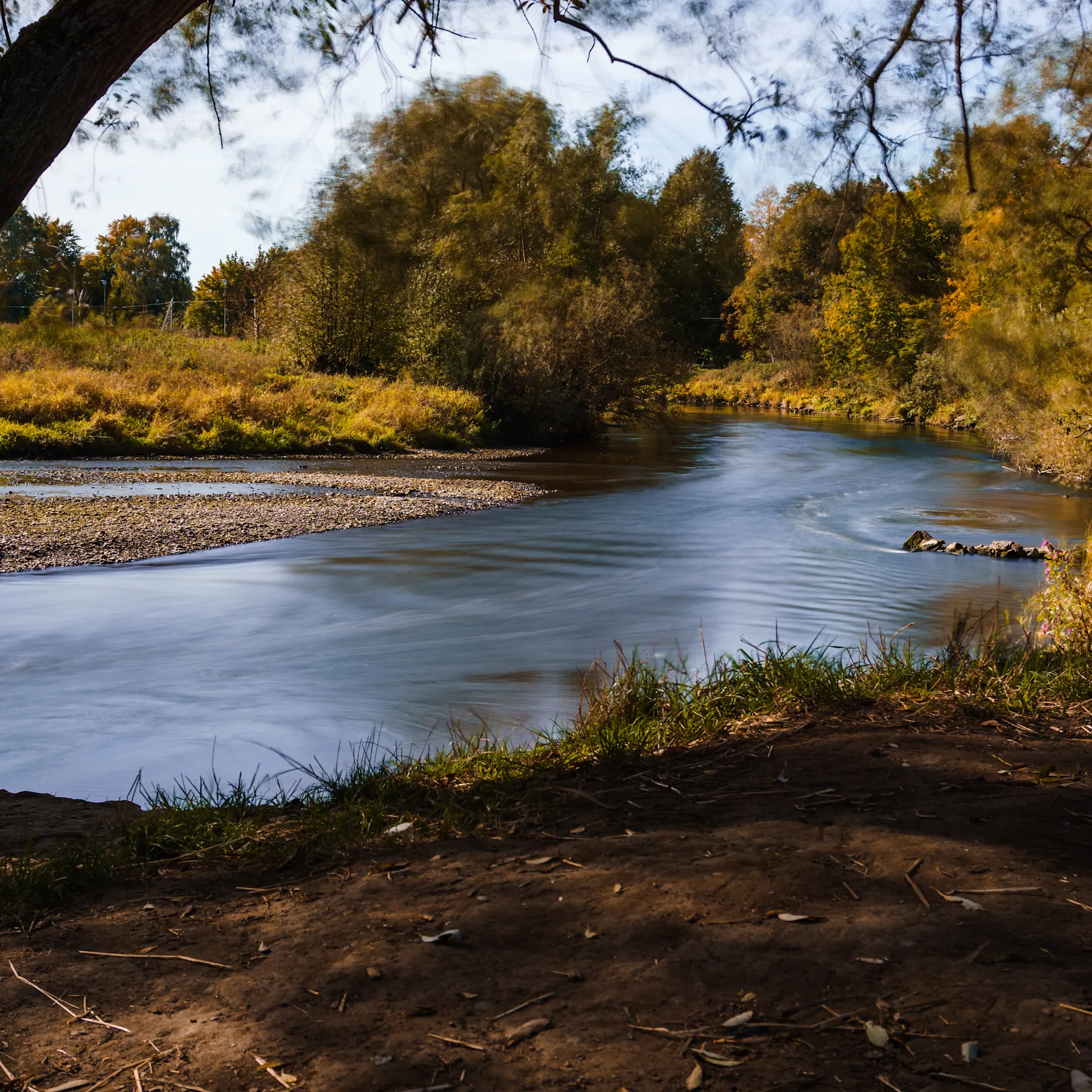 Klares Foto eines ruhigen Flusses mit Bäumen und Wiese im Hintergrund.
