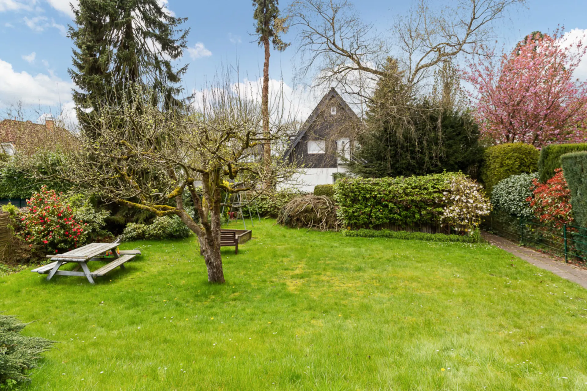 Grüner Garten mit Baum, Holzbänken und umgeben von Sträuchern und Blumen.