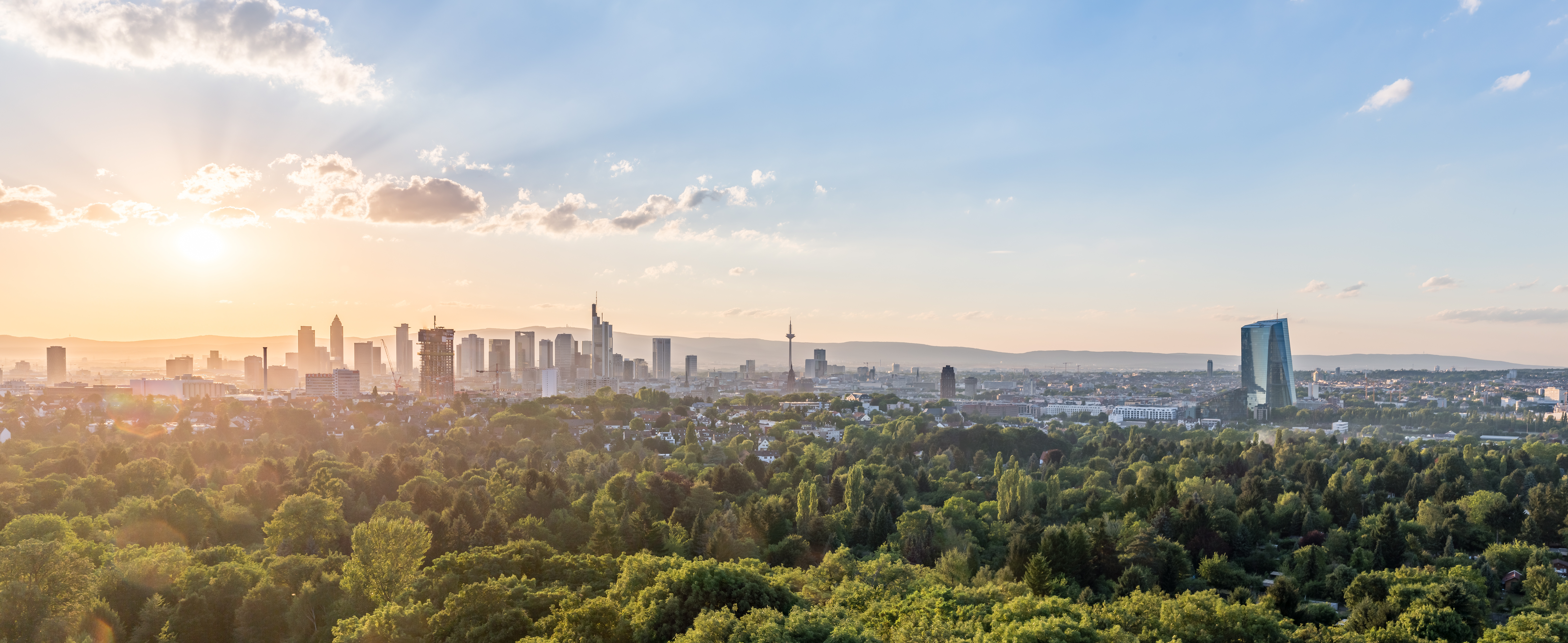 Blick auf eine Stadt mit vielen Bäumen im Vordergrund und Hochhäusern im Hintergrund bei Sonnenuntergang.