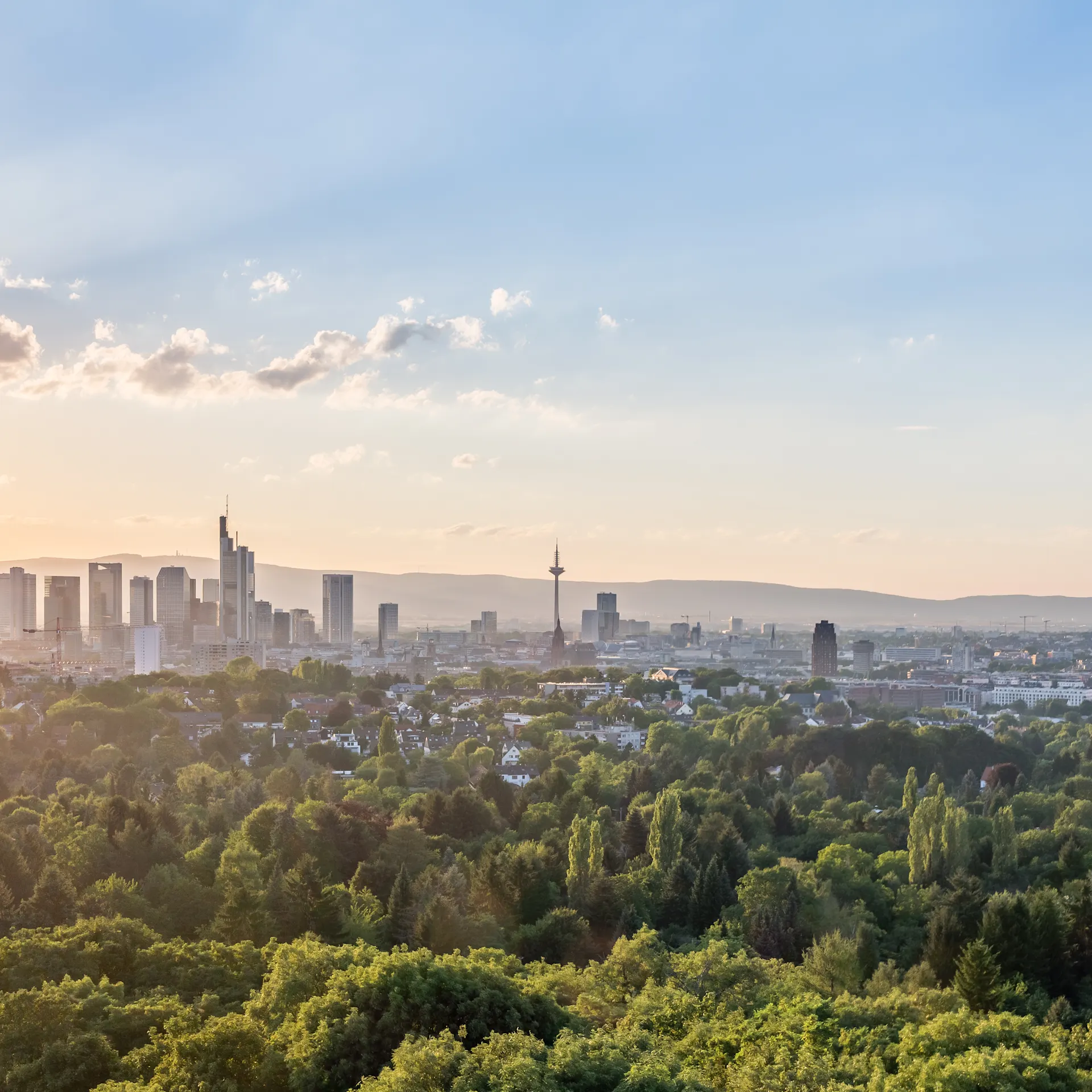 Blick auf eine Stadt mit vielen Bäumen im Vordergrund und Hochhäusern im Hintergrund bei Sonnenuntergang.