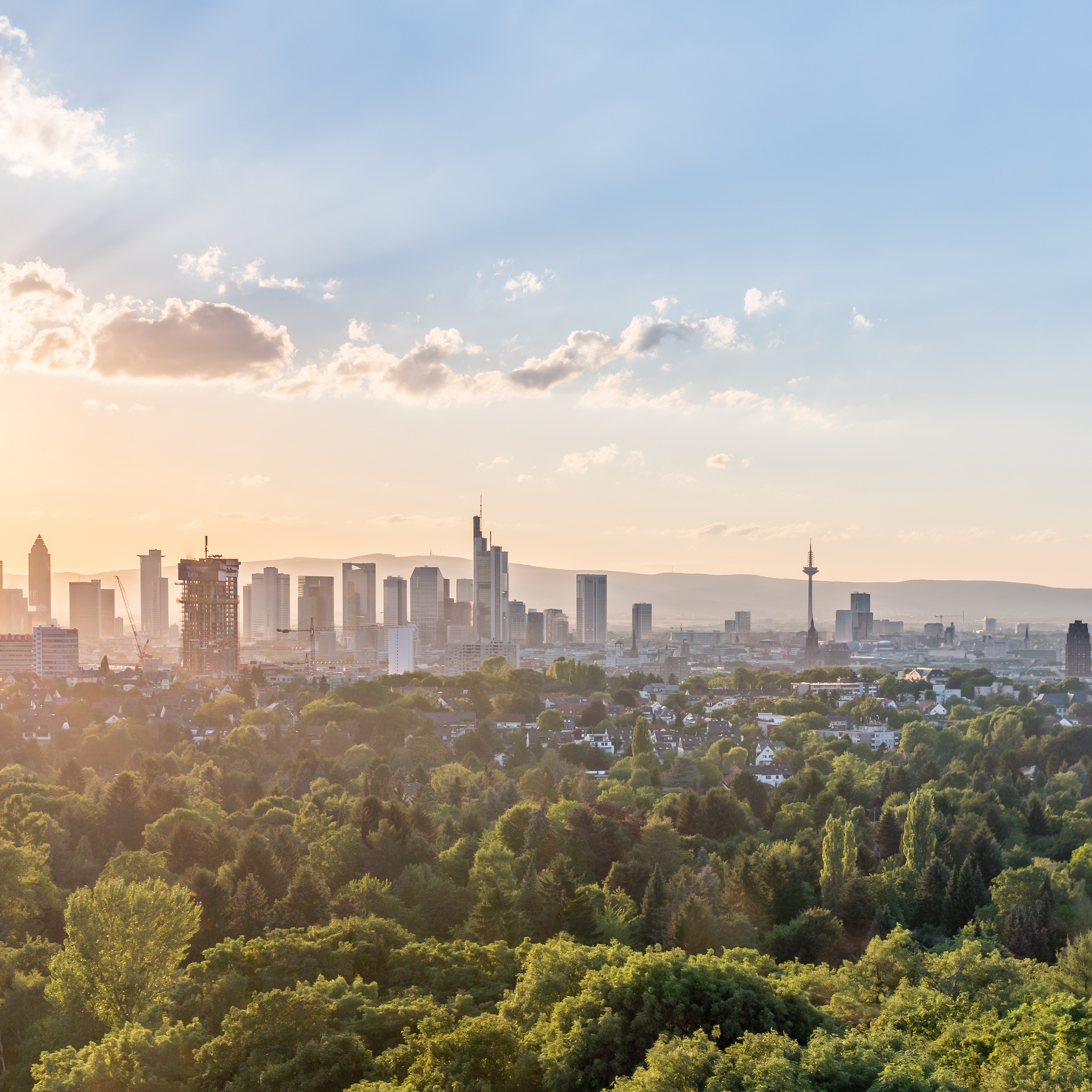 Blick auf eine Stadt mit vielen Bäumen im Vordergrund und Hochhäusern im Hintergrund bei Sonnenuntergang.