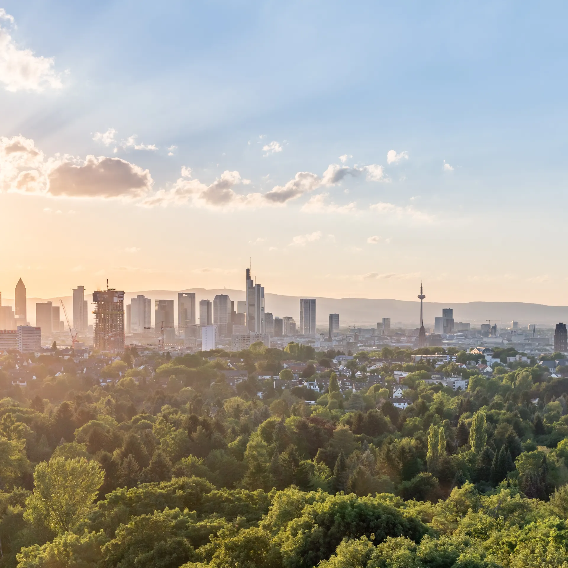 Blick auf eine Stadt mit vielen Bäumen im Vordergrund und Hochhäusern im Hintergrund bei Sonnenuntergang.