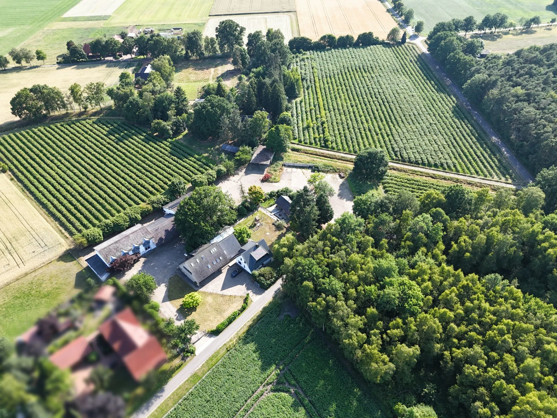 Luftaufnahme eines Hauses mit Nebengebäuden, Feldern und Bäumen in ländlicher Umgebung.