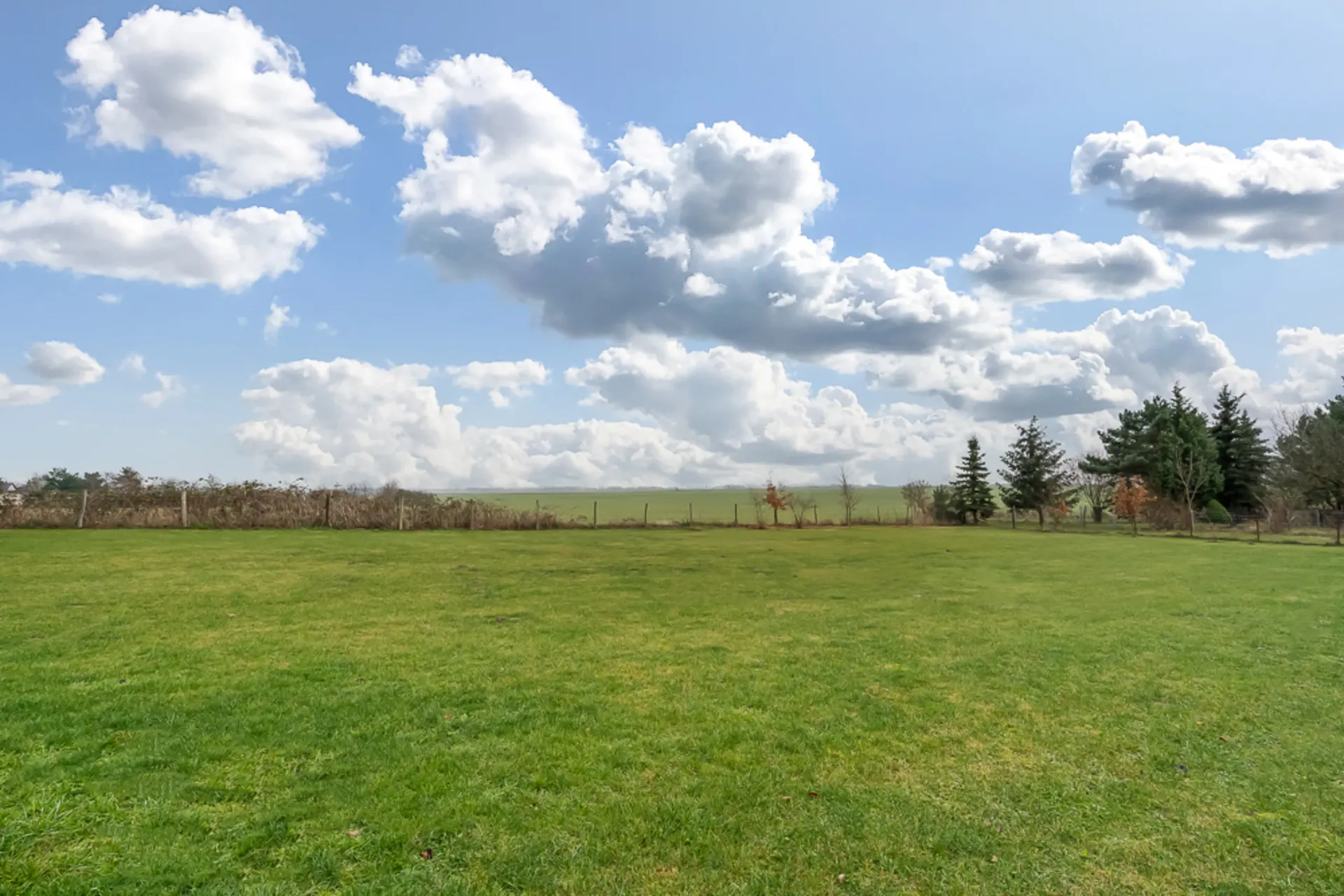 Großer Garten mit grünem Rasen, Zaun und Bäumen im Hintergrund unter wolkigem Himmel.
