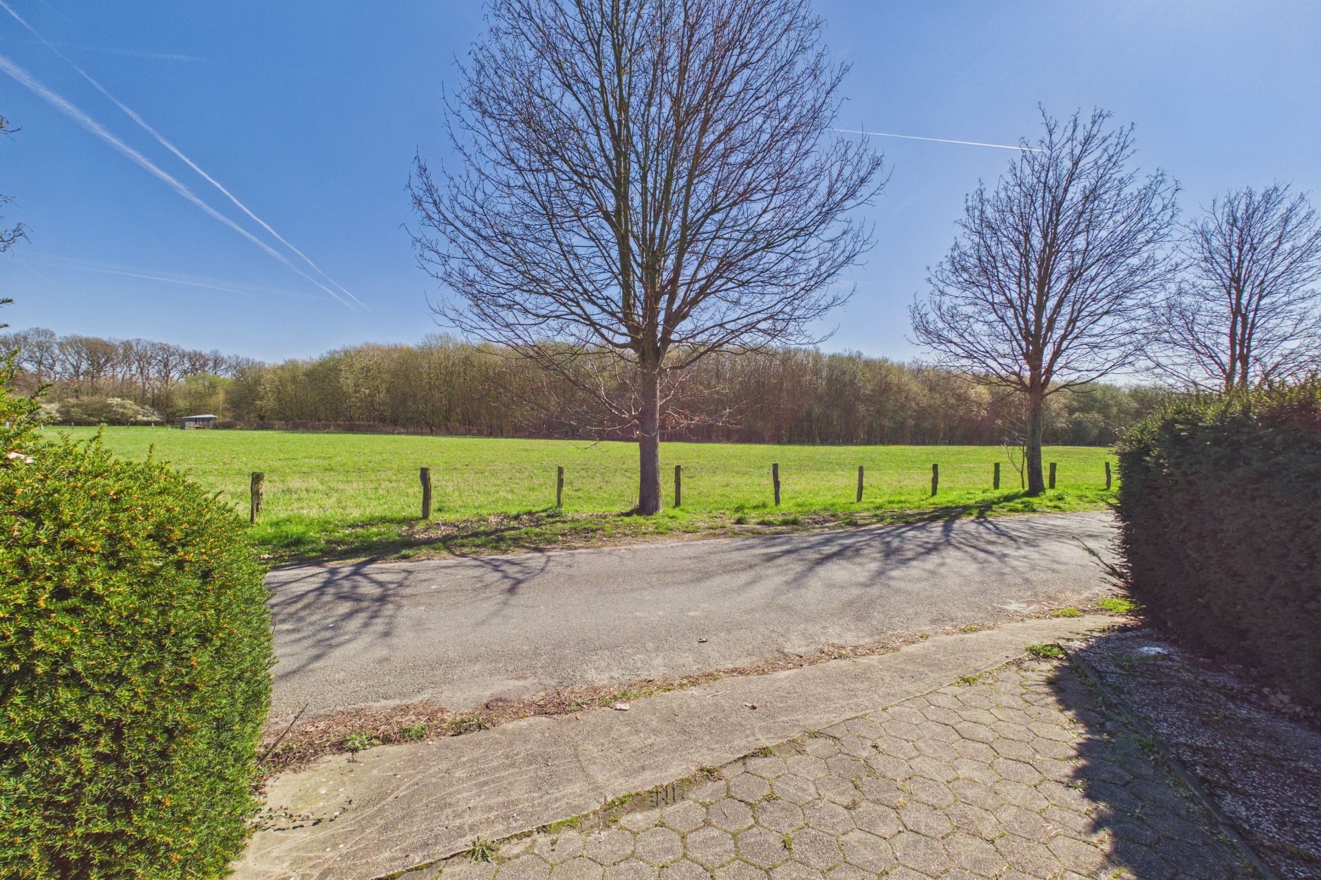 Blick von einer Einfahrt auf eine Straße, eine Wiese und mehrere blattlose Bäume.