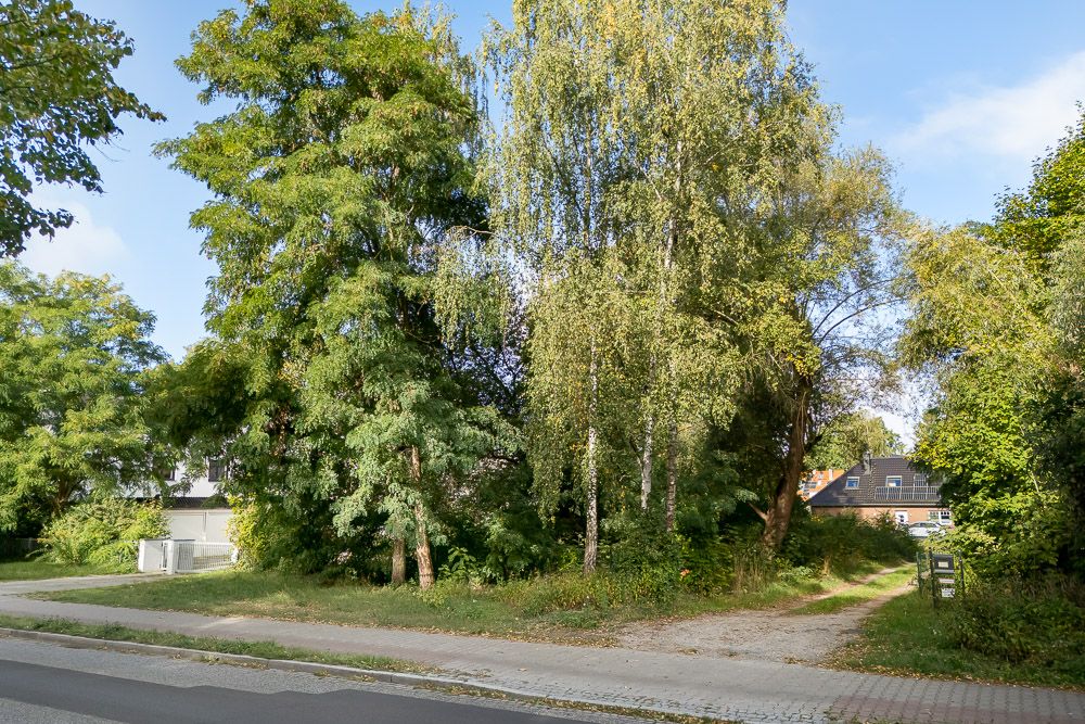 Grünes Grundstück mit Bäumen, Gehweg und einer Einfahrt zu einem Wohnhaus im Hintergrund.