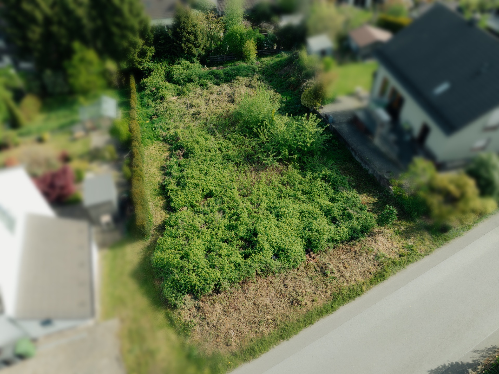 Luftaufnahme eines rechteckigen, überwiegend bewachsenen Grundstücks zwischen zwei Häusern an einer Straße.