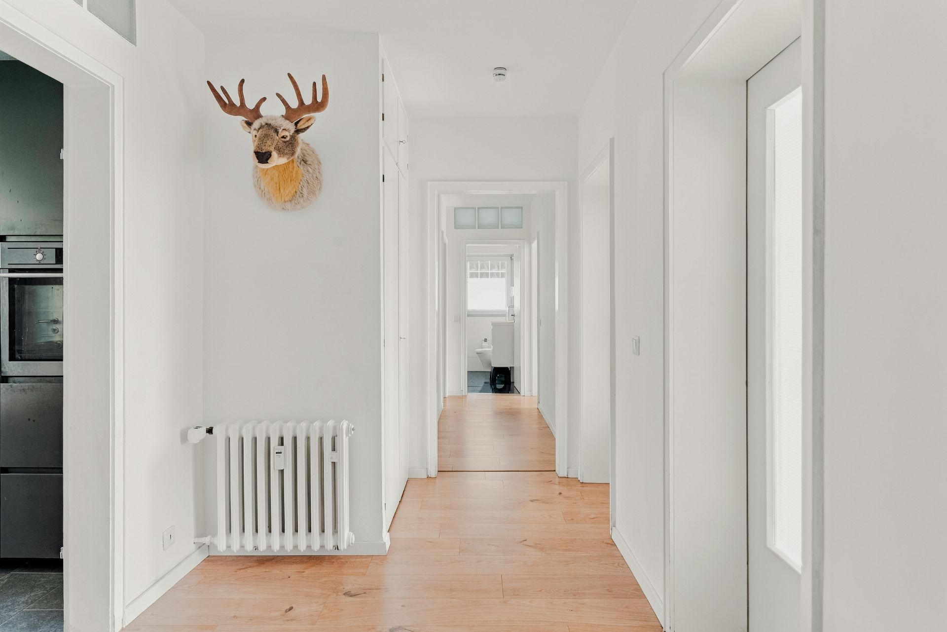 Heller Flur mit Holzboden, Wandheizung und Hirschkopf an der Wand.