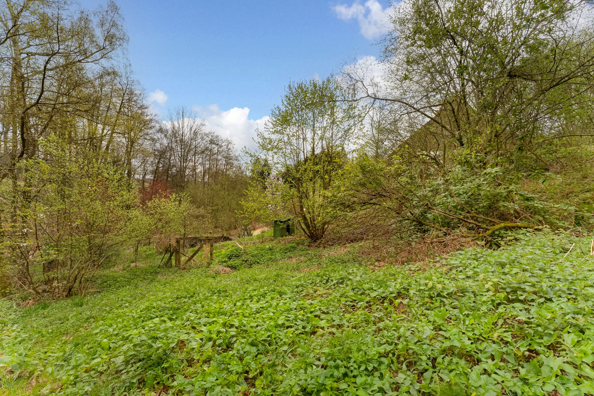 Grünes Gartengrundstück mit Bäumen und Sträuchern an einem Hang bei blauem Himmel.
