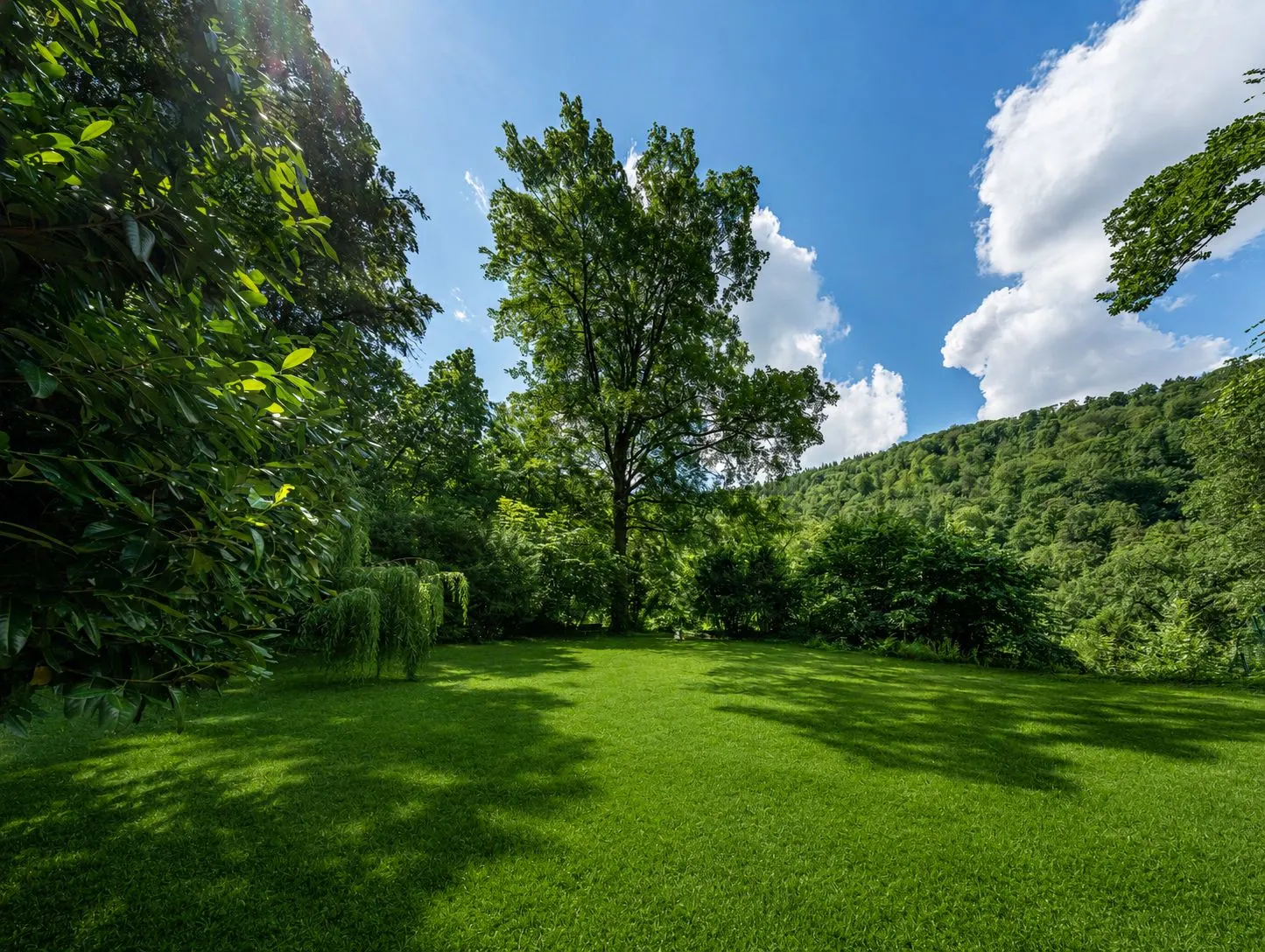 Großer grüner Garten mit Bäumen und Wiese, umgeben von Wald bei sonnigem Wetter.