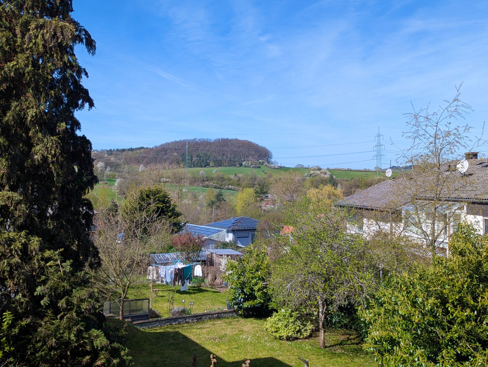 Blick auf einen Garten mit Bäumen und Wäscheleine, dahinter Hügel und Stromleitung.
