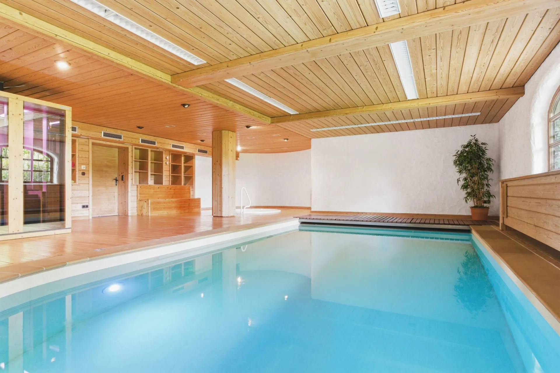 Innenpool mit Holzdecke, Sauna, Liegebereich und Topfpflanze in einem Wohnhaus.