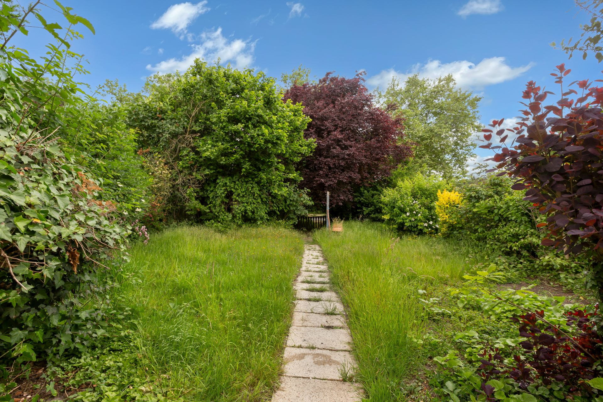 Garten mit Rasen, Gehweg aus Platten und vielen Bäumen und Sträuchern.