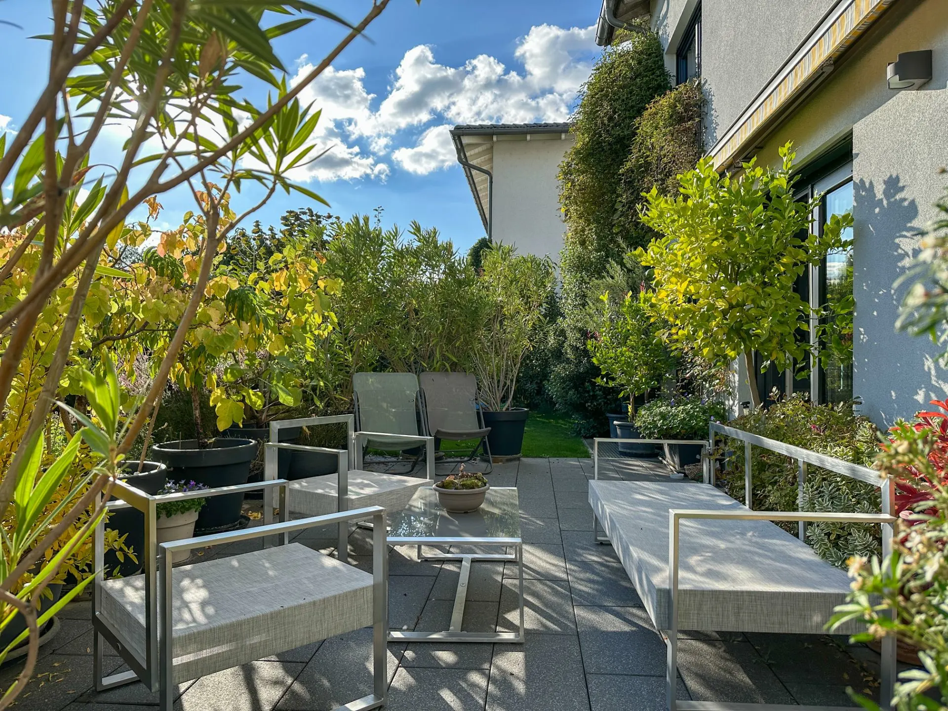 Moderne Terrasse mit Sitzmöbeln und vielen Pflanzen bei sonnigem Wetter.