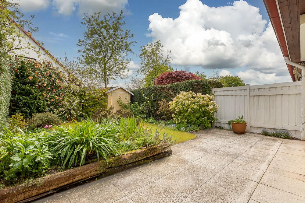 Gepflasterte Terrasse mit Pflanzkübel und angrenzendem Garten mit Sträuchern und Bäumen.