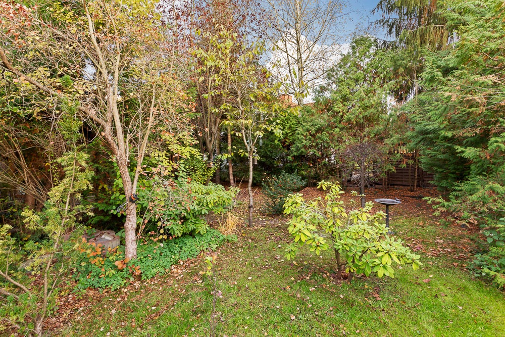 Grüner Garten mit Bäumen, Sträuchern und einer Vogeltränke auf dem Rasen.