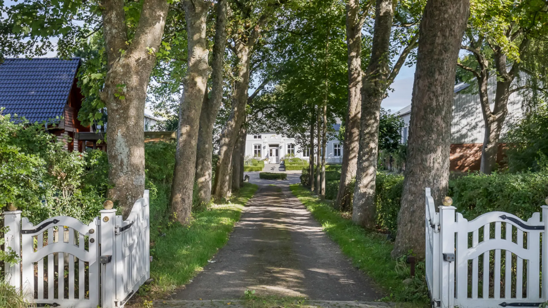 Baumgesäumte Einfahrt mit offenem weißen Tor führt zu einem Wohnhaus im Hintergrund.
