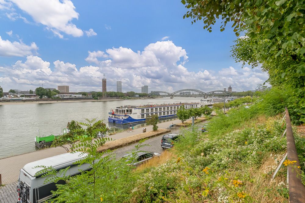 Blick auf einen Fluss mit Booten, Grünfläche im Vordergrund und Brücke im Hintergrund.