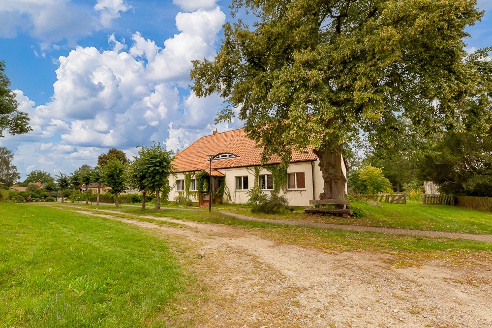 Haus mit rotem Dach und großem Baum im Vorgarten an einem unbefestigten Weg.