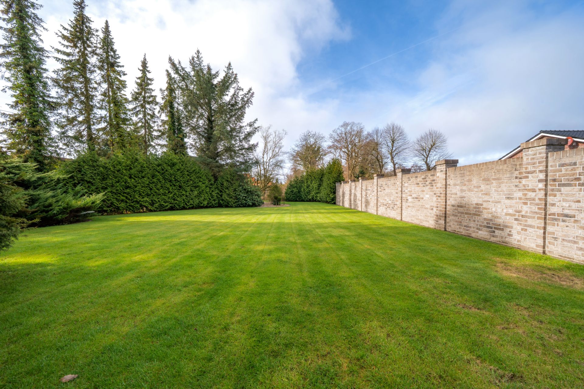 Großer grüner Garten mit Rasen, hohen Bäumen und einer Mauer an der rechten Seite.