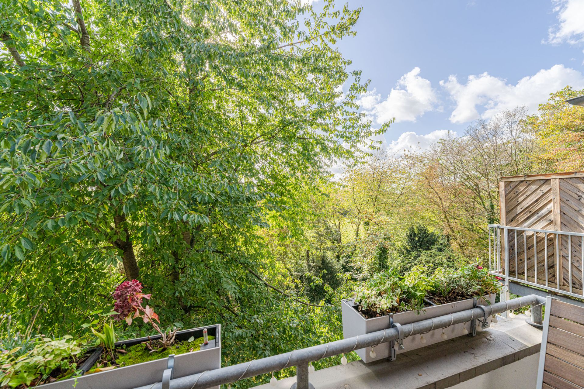 Balkon mit Blumenkästen, Blick auf grüne Bäume und blauen Himmel mit Wolken.