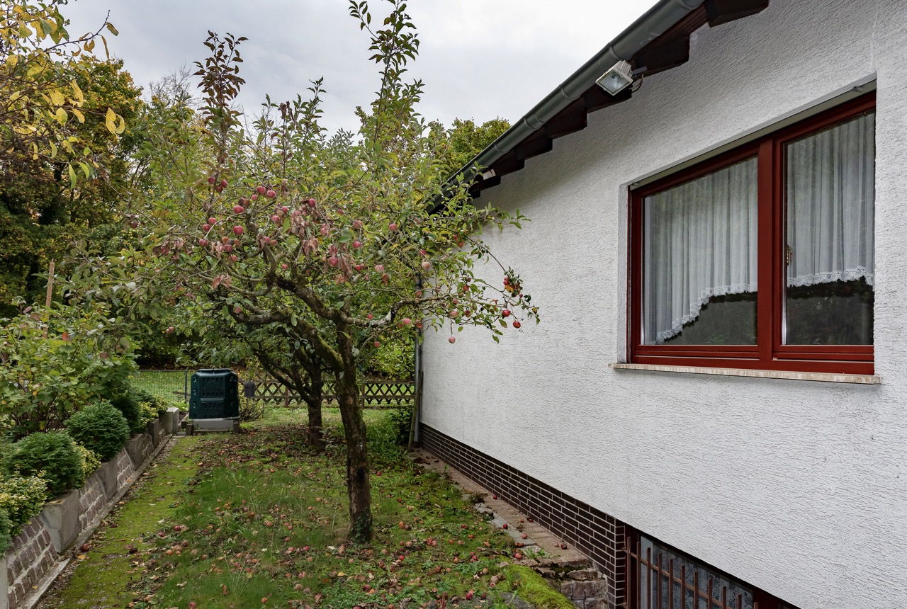 Garten mit Apfelbaum neben einem weißen Wohnhaus mit rotem Fensterrahmen.