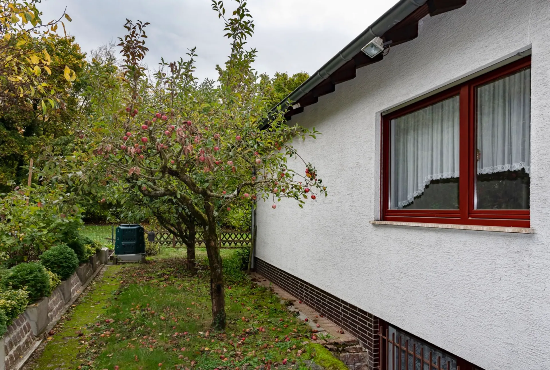 Garten mit Apfelbaum neben einem weißen Wohnhaus mit rotem Fensterrahmen.