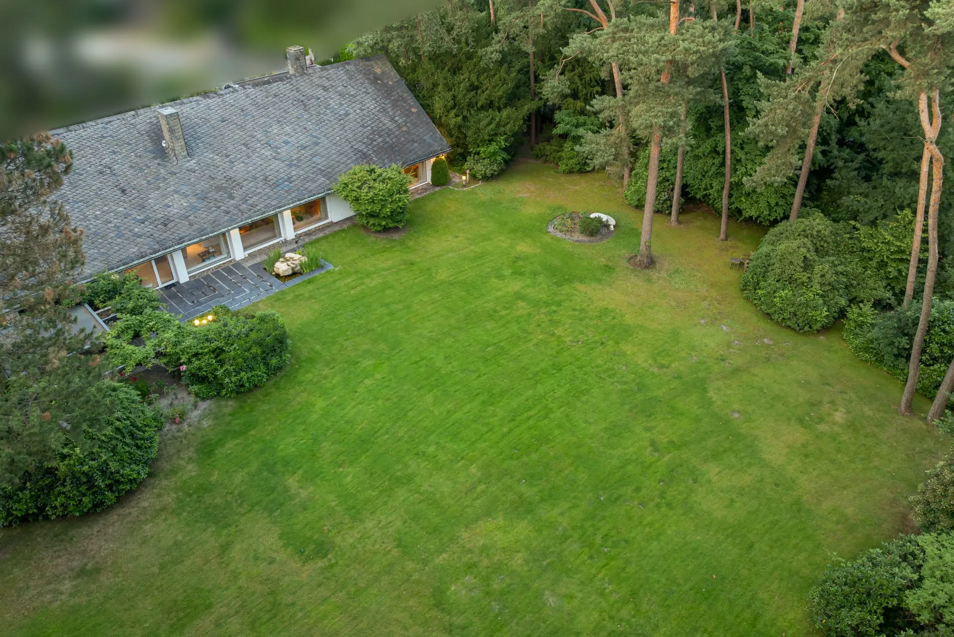 Großer grüner Garten mit Bäumen und einem Haus im Hintergrund.