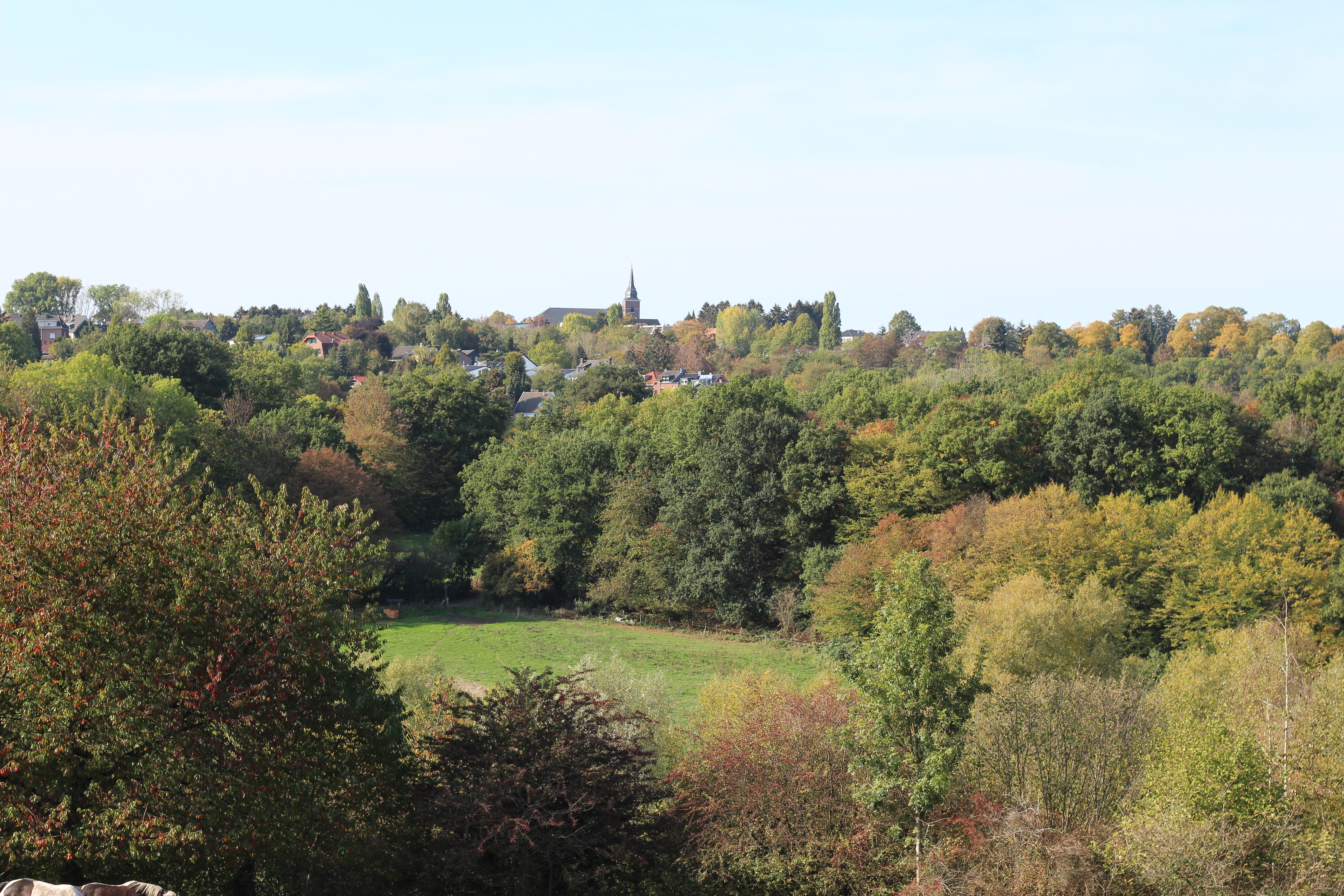 Blick auf eine grüne Landschaft mit Bäumen und Wiese, im Hintergrund Häuser und ein Kirchturm.
