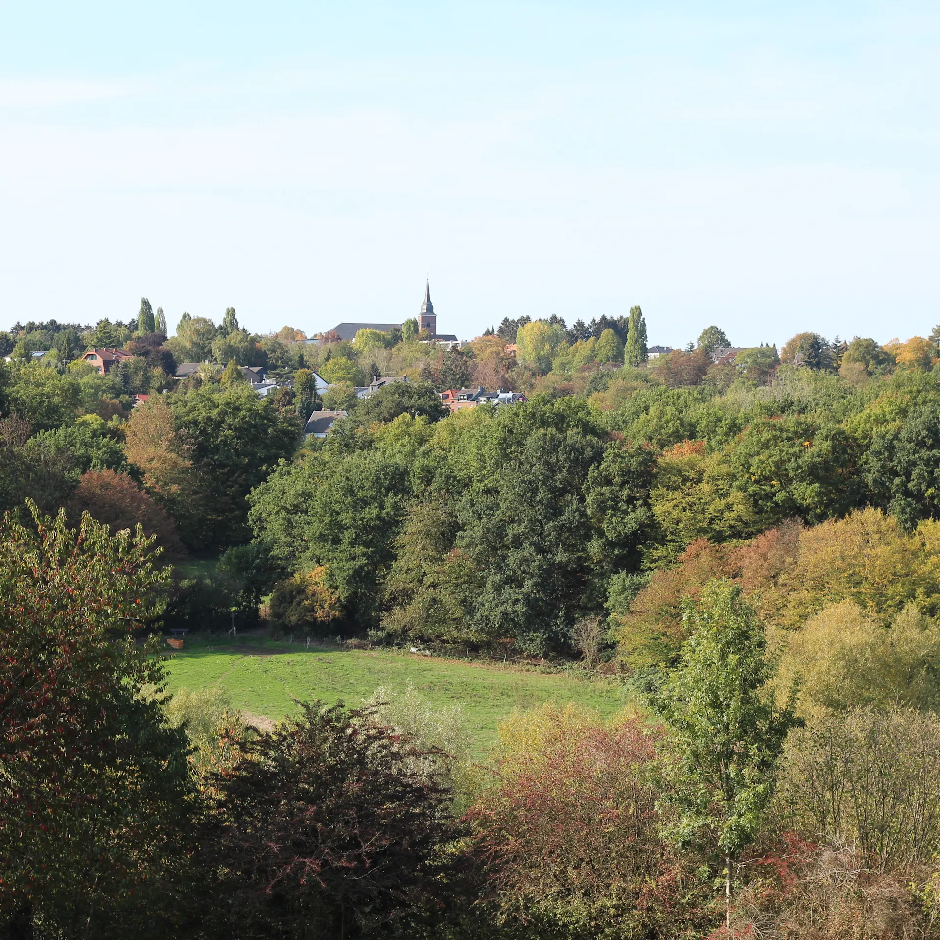 Blick auf eine grüne Landschaft mit Bäumen und Wiese, im Hintergrund Häuser und ein Kirchturm.