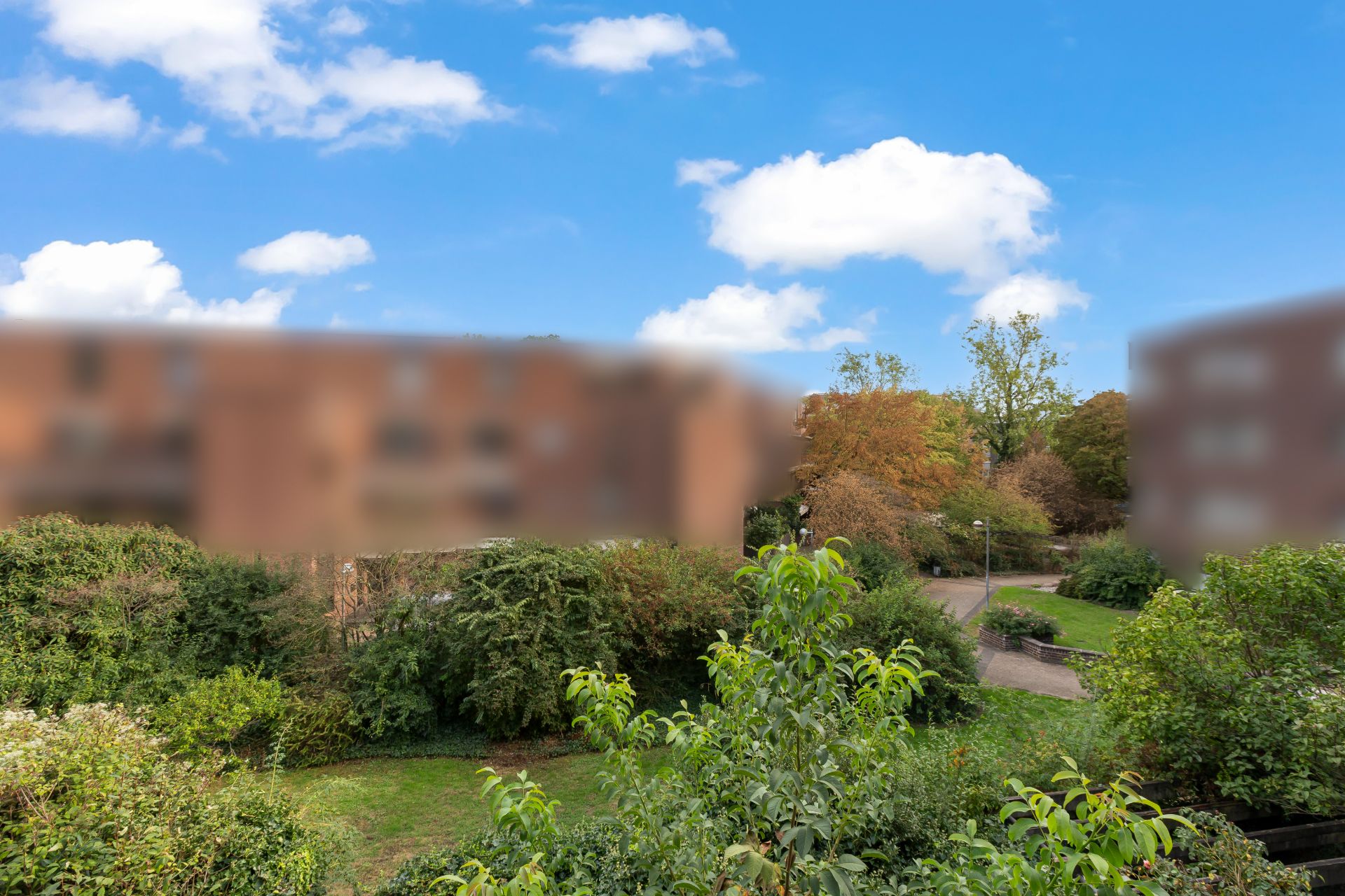Blick auf einen grünen Garten mit Bäumen und Büschen unter blauem Himmel.