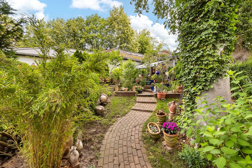Gepflasterter Gartenweg mit vielen Pflanzen und Blumentöpfen, Haus im Hintergrund.