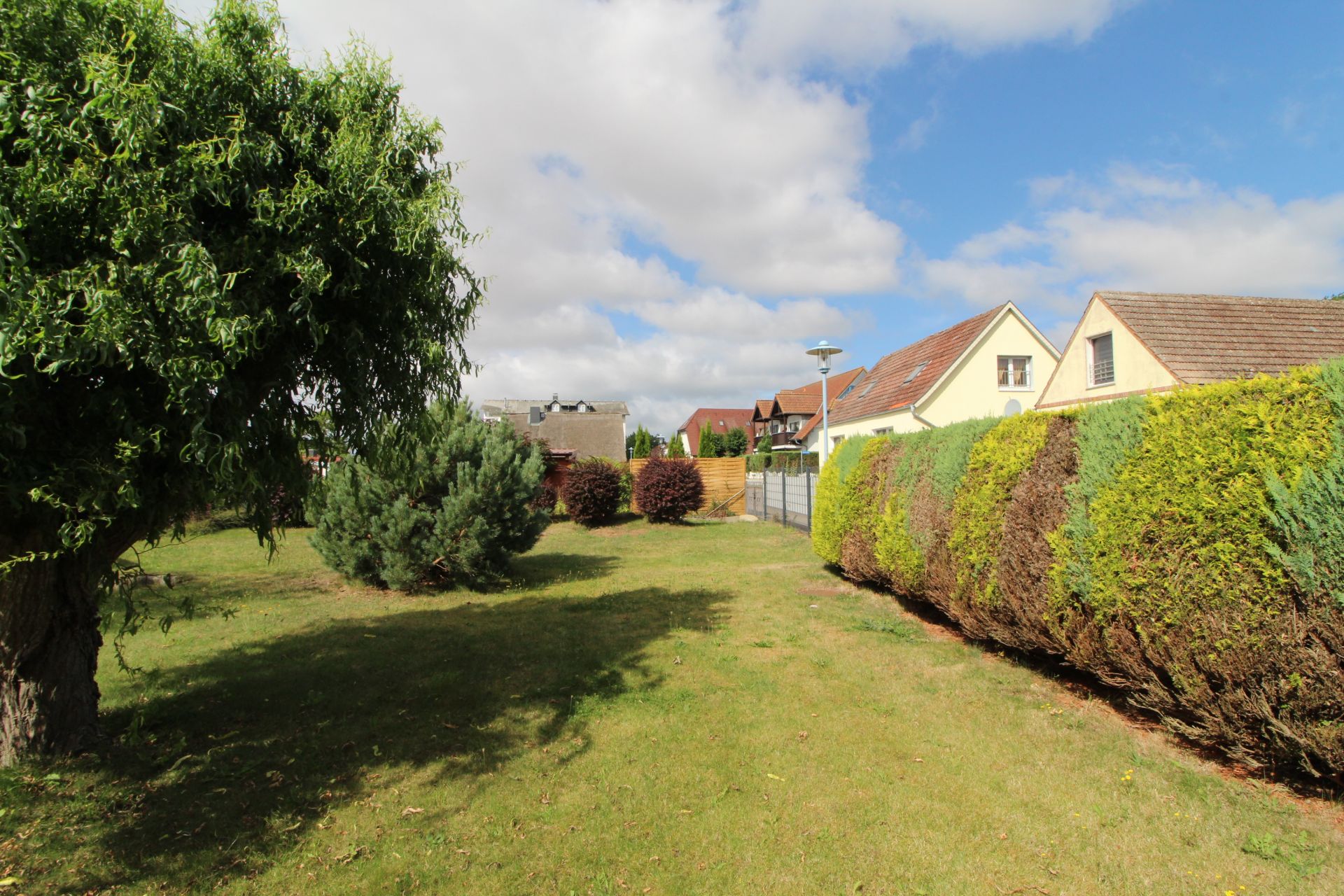 Garten mit Rasen, Bäumen, Büschen und Hecke neben Wohnhäusern bei sonnigem Wetter.