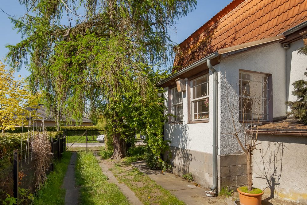 Weiße Hauswand mit Fenstern, Gehweg und Garten mit Bäumen an einem sonnigen Tag.
