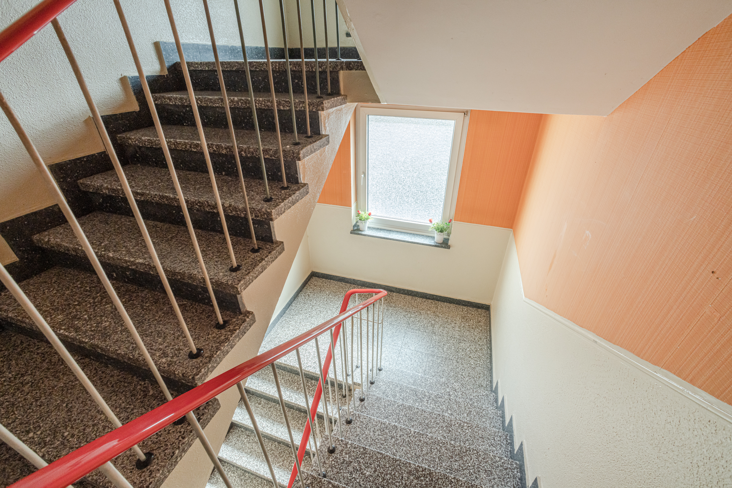 Treppe mit rotem Handlauf und Fenster mit zwei kleinen Pflanzen im Treppenhaus.