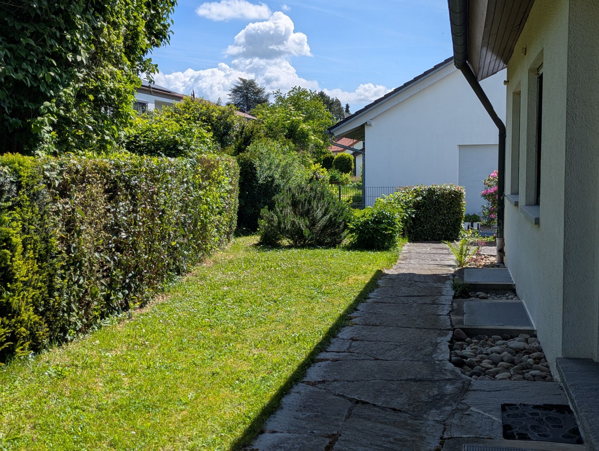 Gepflegter Garten mit Steinweg neben einem Wohnhaus, umgeben von Hecken und Sträuchern.