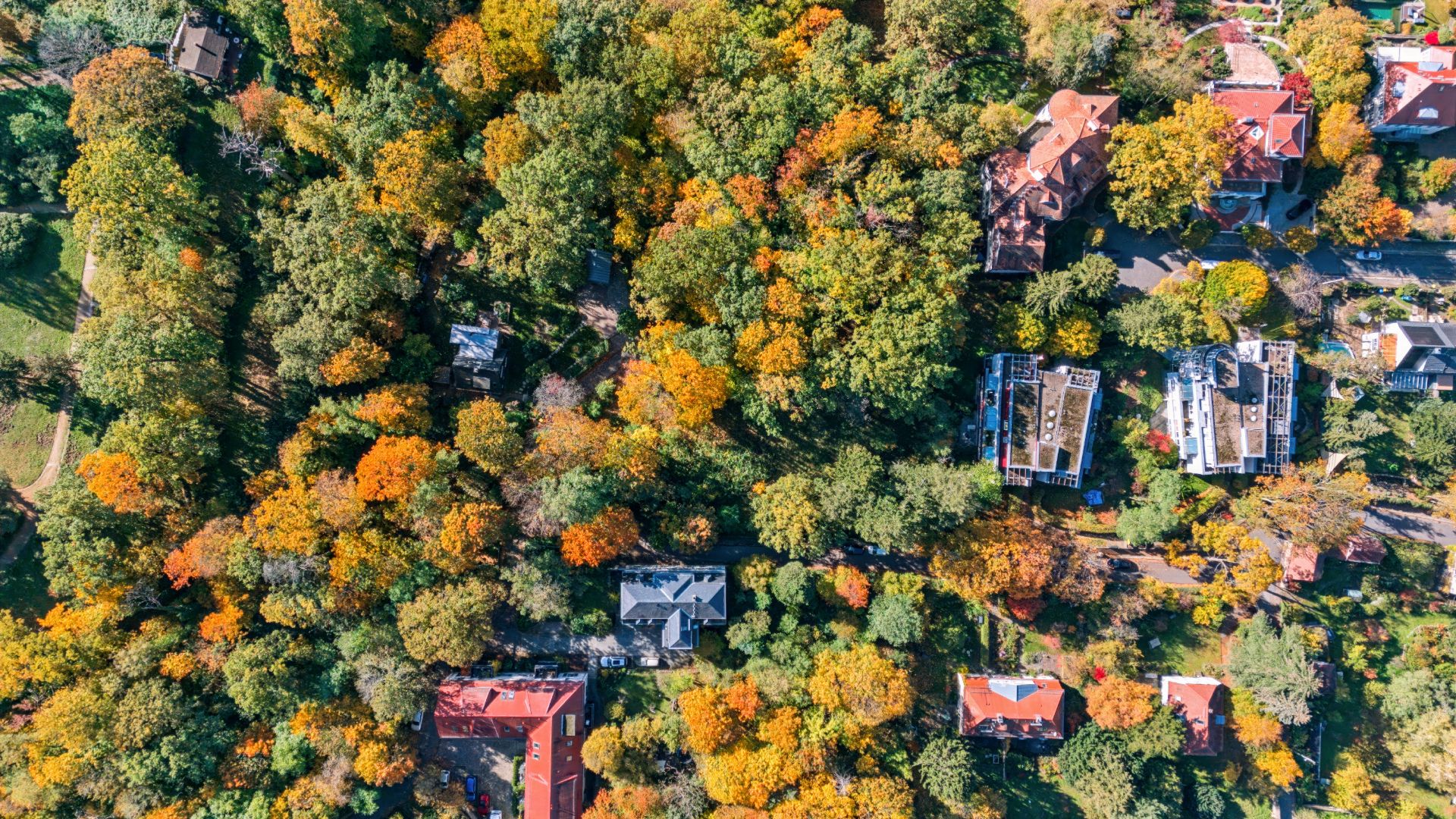 Luftaufnahme von Häusern zwischen bunten Bäumen in einem Wohngebiet im Herbst.